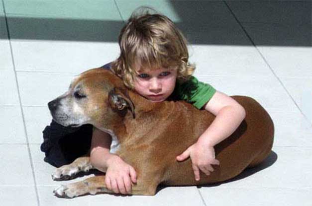 Eles disseram a este menino que teriam que abater o cão… Mas a resposta dele é uma lição para todos nós!