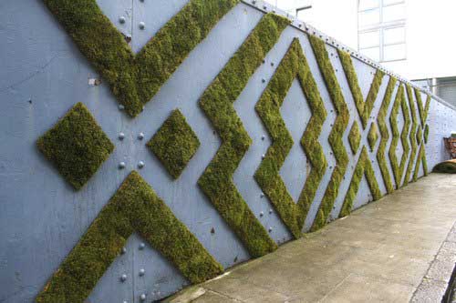 moss_graffiti_10