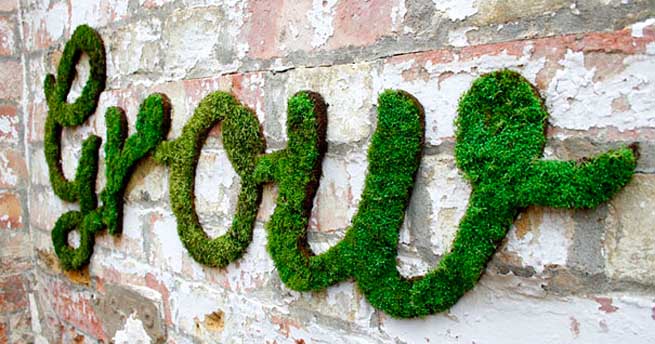 moss_graffiti_11