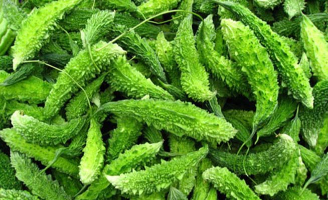 planta_contra_cancro_2