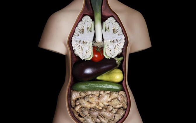 Sabias que a aparência dos alimentos é igual aos órgãos que eles curam? É incrível!