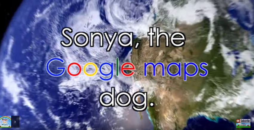 Eles viram algo estranho no Google Maps… O que aconteceu a seguir é impressionante!