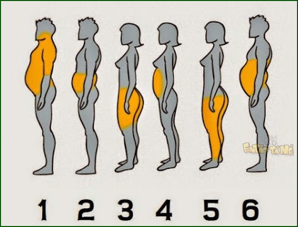 6tipos-de-gorduras-localizadas1