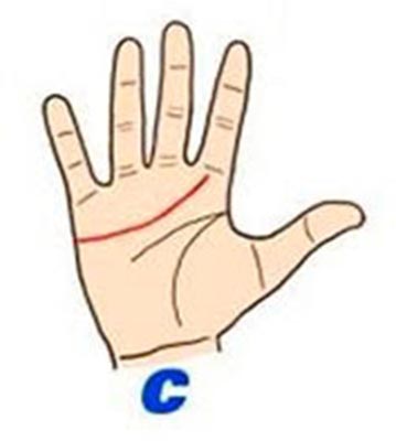 linha_mao_curiosidades_4