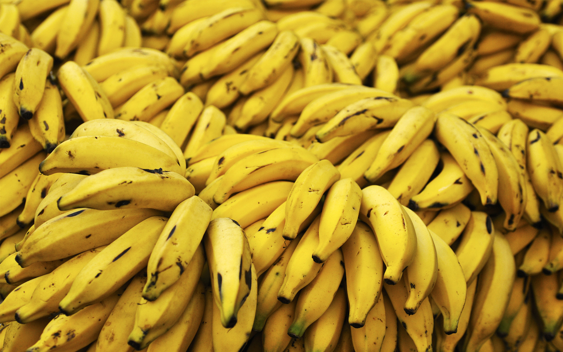Banana poderá ser a esperança na cura do cancro!