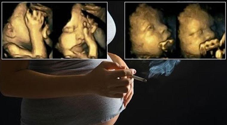 Esta mulher fuma durante a gravidez… A reacção do feto… É chocante!