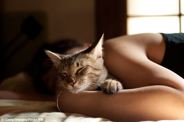 Estudo revela algo muito importante para quem dorme com animais!!