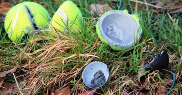 Se vires uma bola de ténis abandonada no chão não lhe toques! A razão é simplesmente aterrorizante!