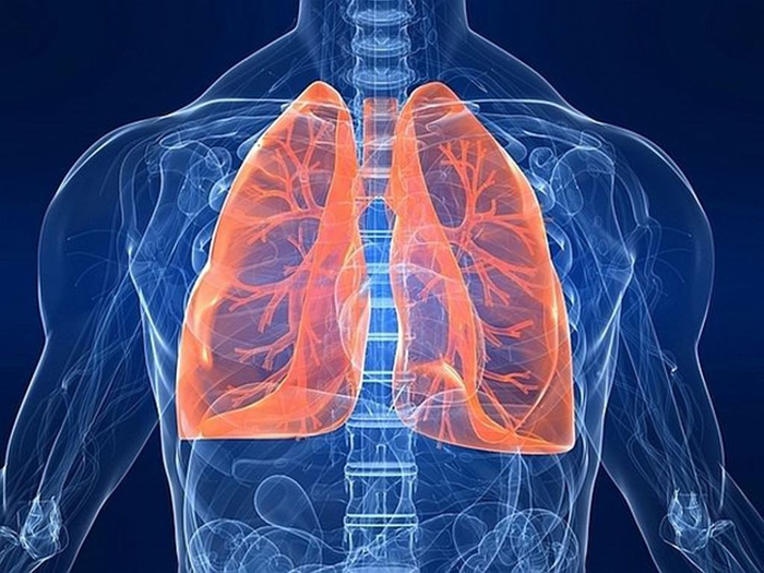 É assim que o teu pulmão fica depois de fumares 20 cigarros! É arrepiante!