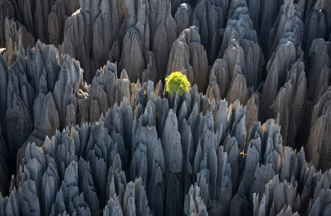 tsingy-de-bemaraha_the-stone-forest-of-madagascar