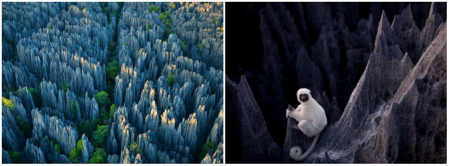 tsingy-de-bemaraha_the-stone-forest-of-madagascar2