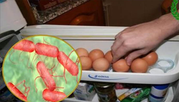Se guardas os ovos no frigorífico vais surpreender-te quando souberes isto! Quase ninguém imagina!