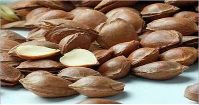 Esta semente protege contra a cancro e ajuda a curar dores nas articulações!