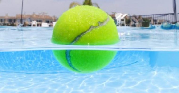 Quando as pessoas saem da piscina, ele lança bolas de ténis na água. Brilhante!