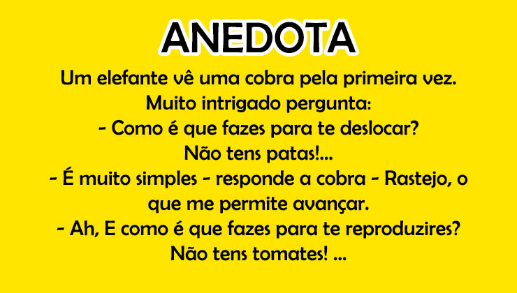 Um elefante muito inteligente…