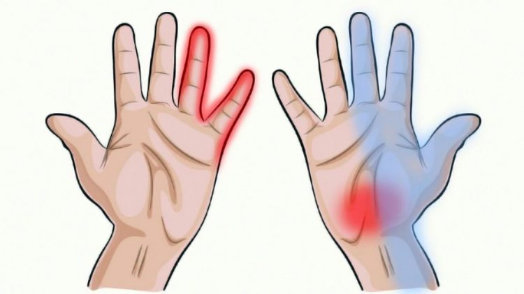 Informações que as mãos dizem sobre a sua saúde
